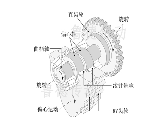 RV減速機(jī)曲柄軸部位解說(shuō)